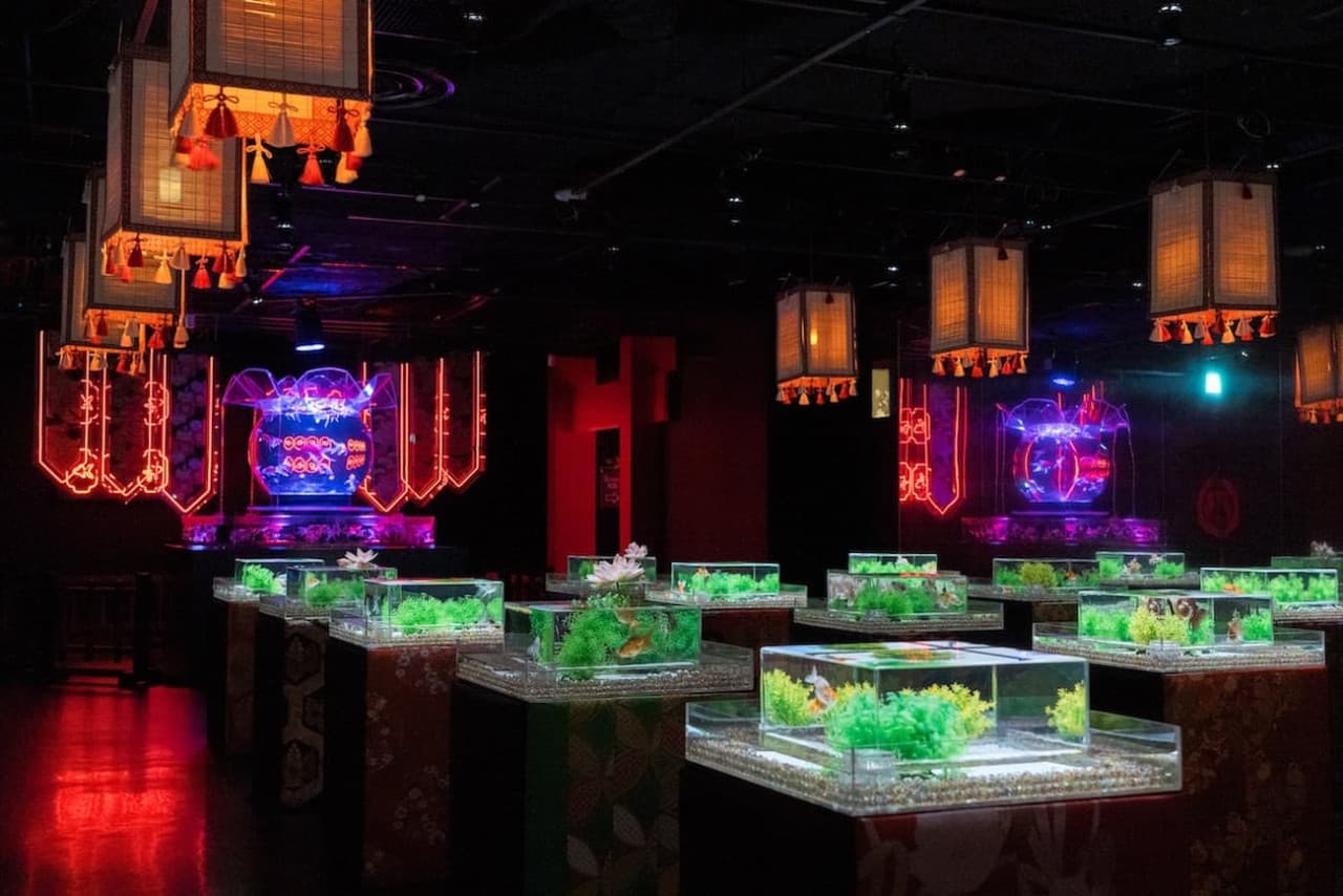 Art Aquarium Museum GINZA Ticket - image 6